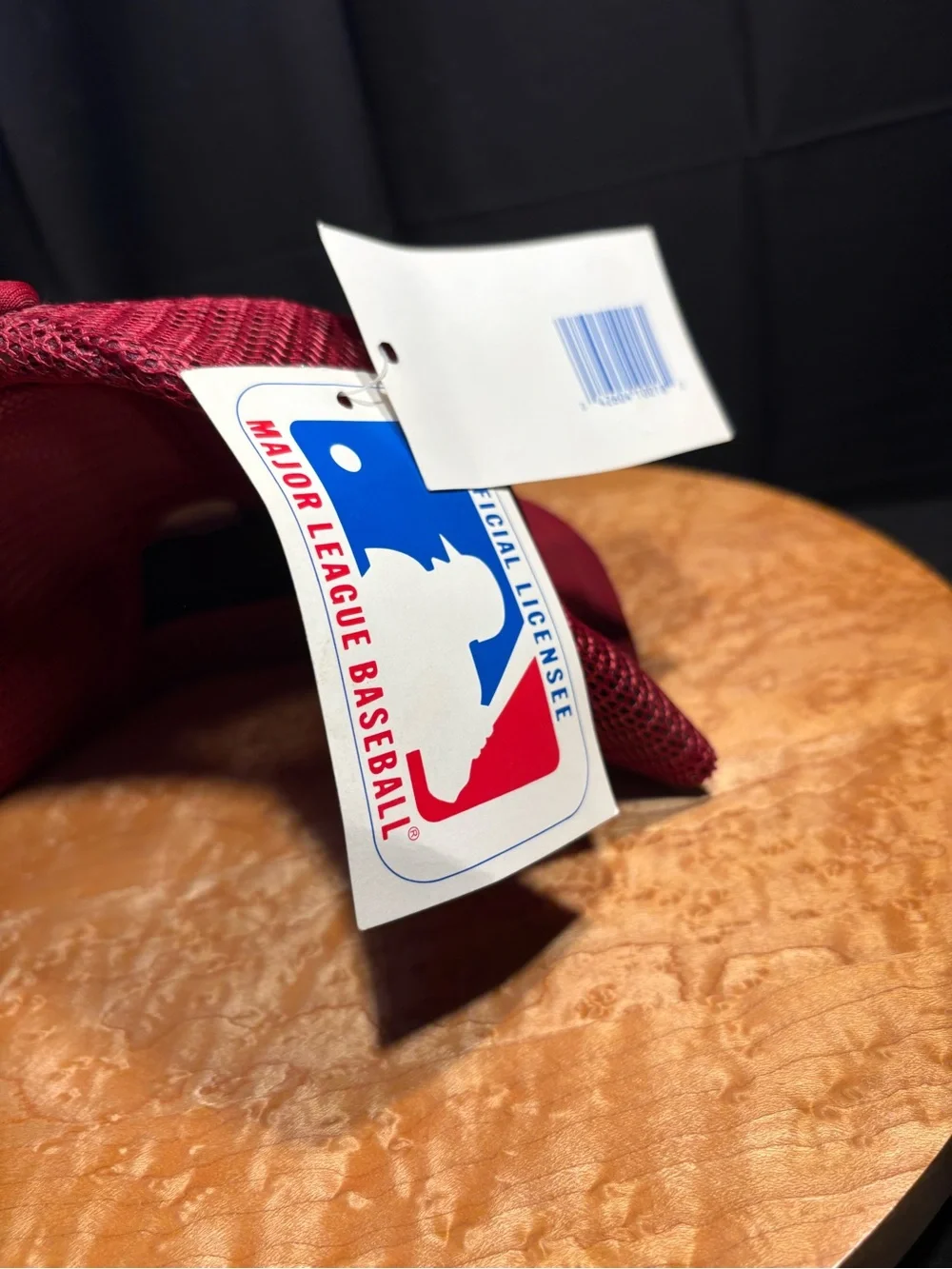 Vtg 1988 AJD Philadelphia Phillies Mike Schmidt #20 Trucker Hat Deadstock.Error!